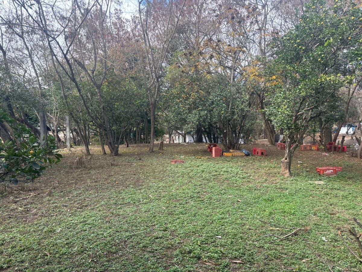 Imagen 4 de 8