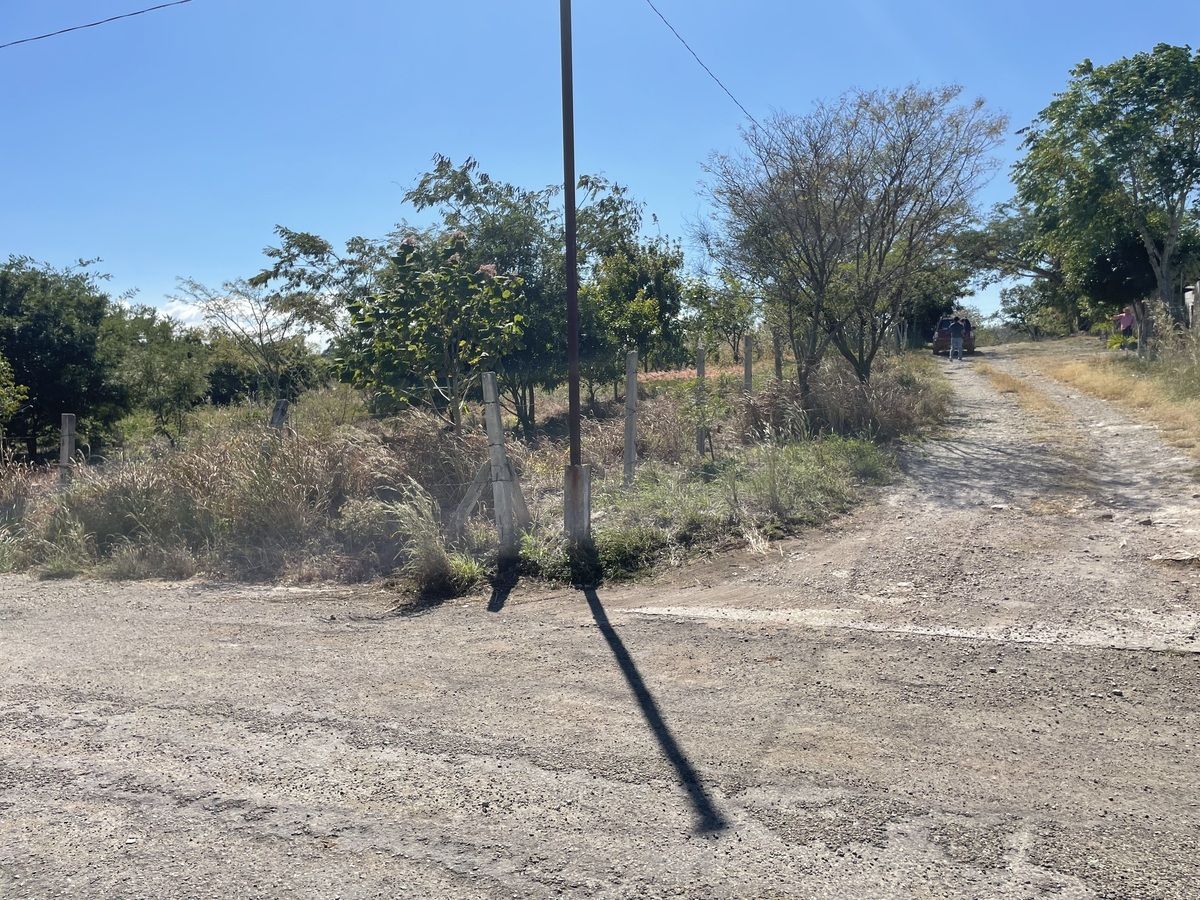 Imagen 4 de 5