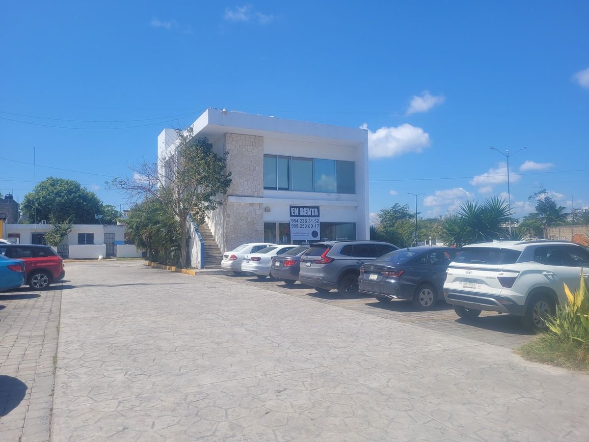 3 de 11