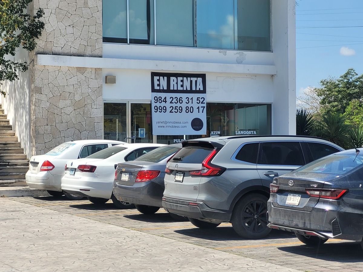1 de 11