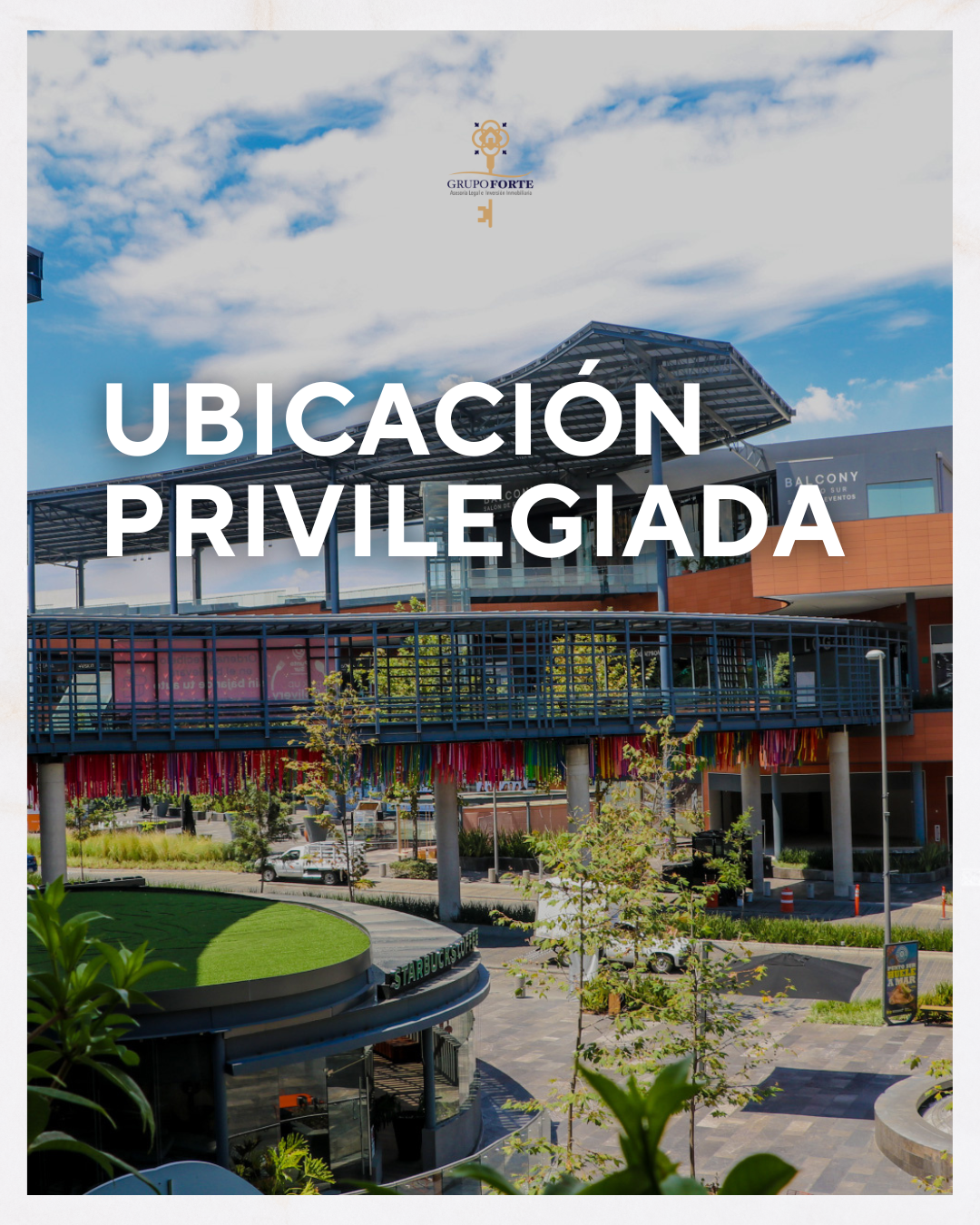 5 de 17