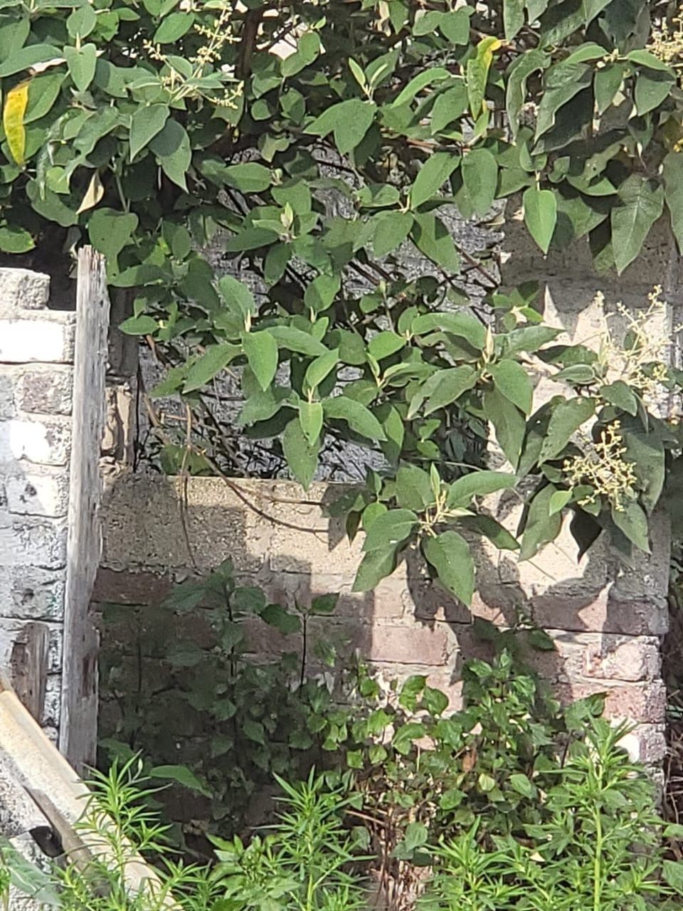 5 de 6