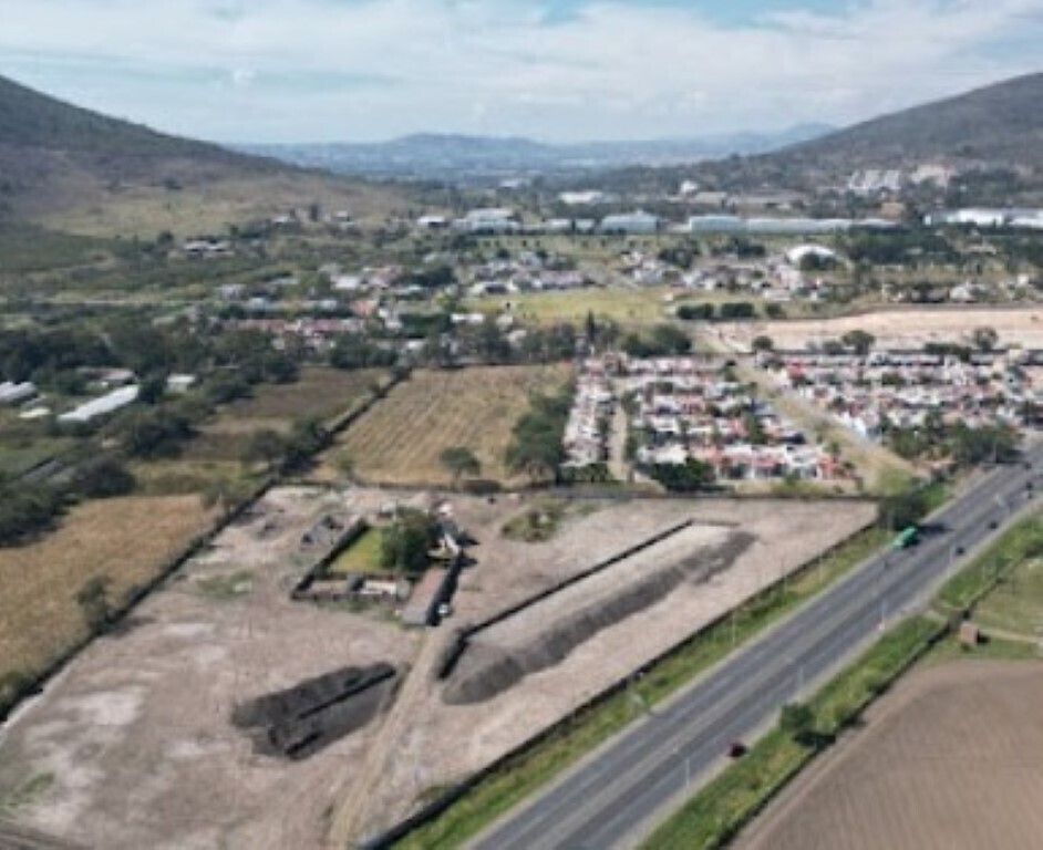 4 de 6