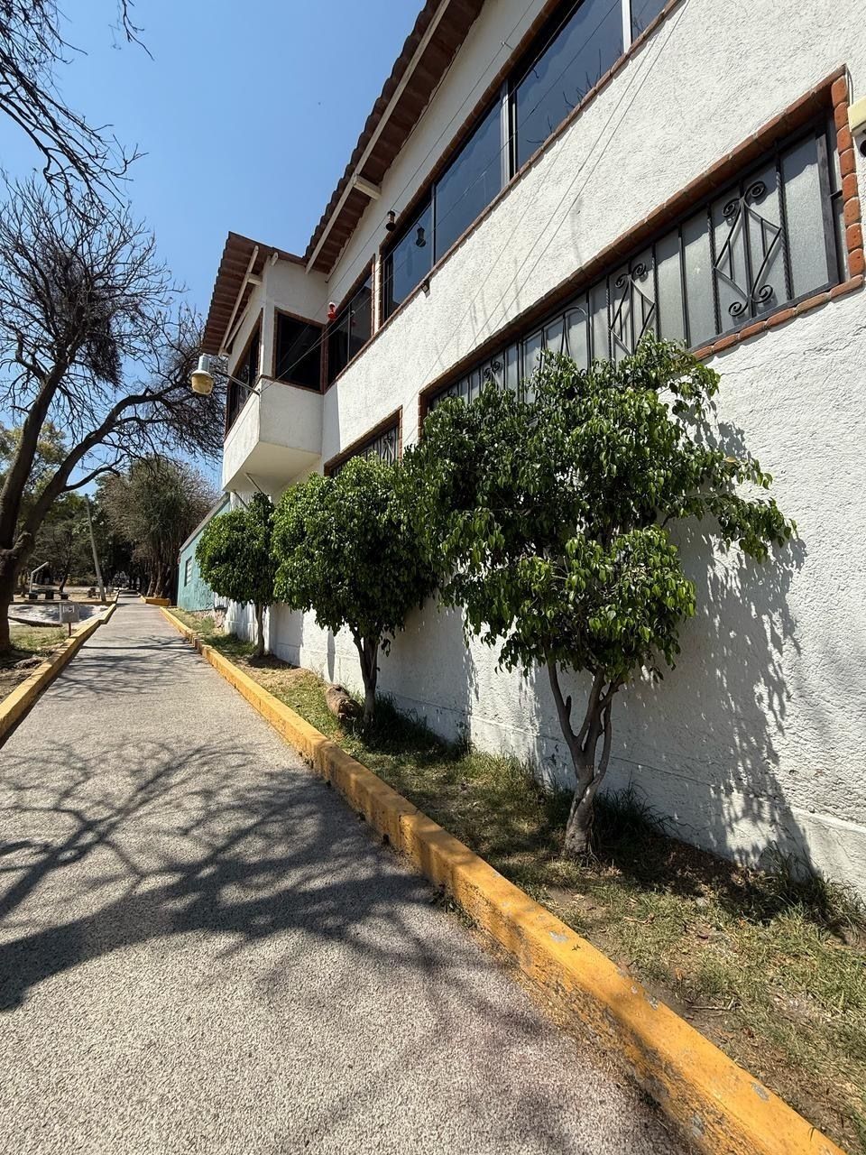 Imagen 4 de 8