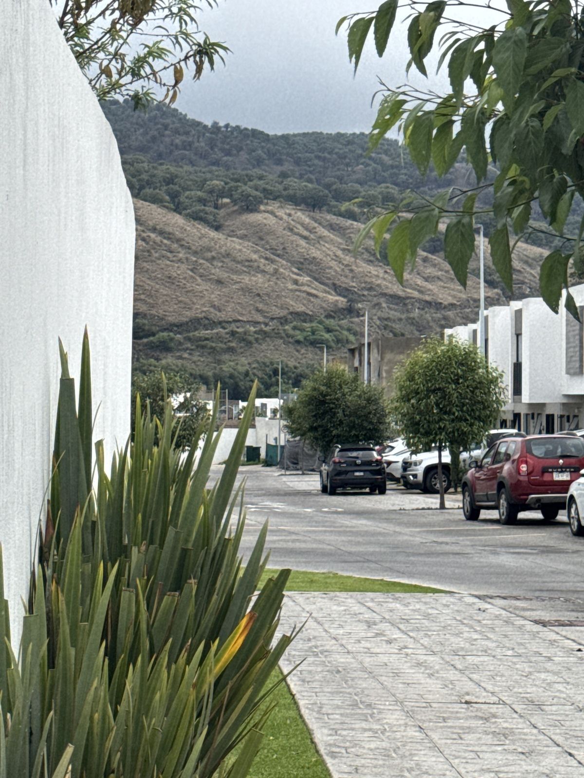 17 de 35