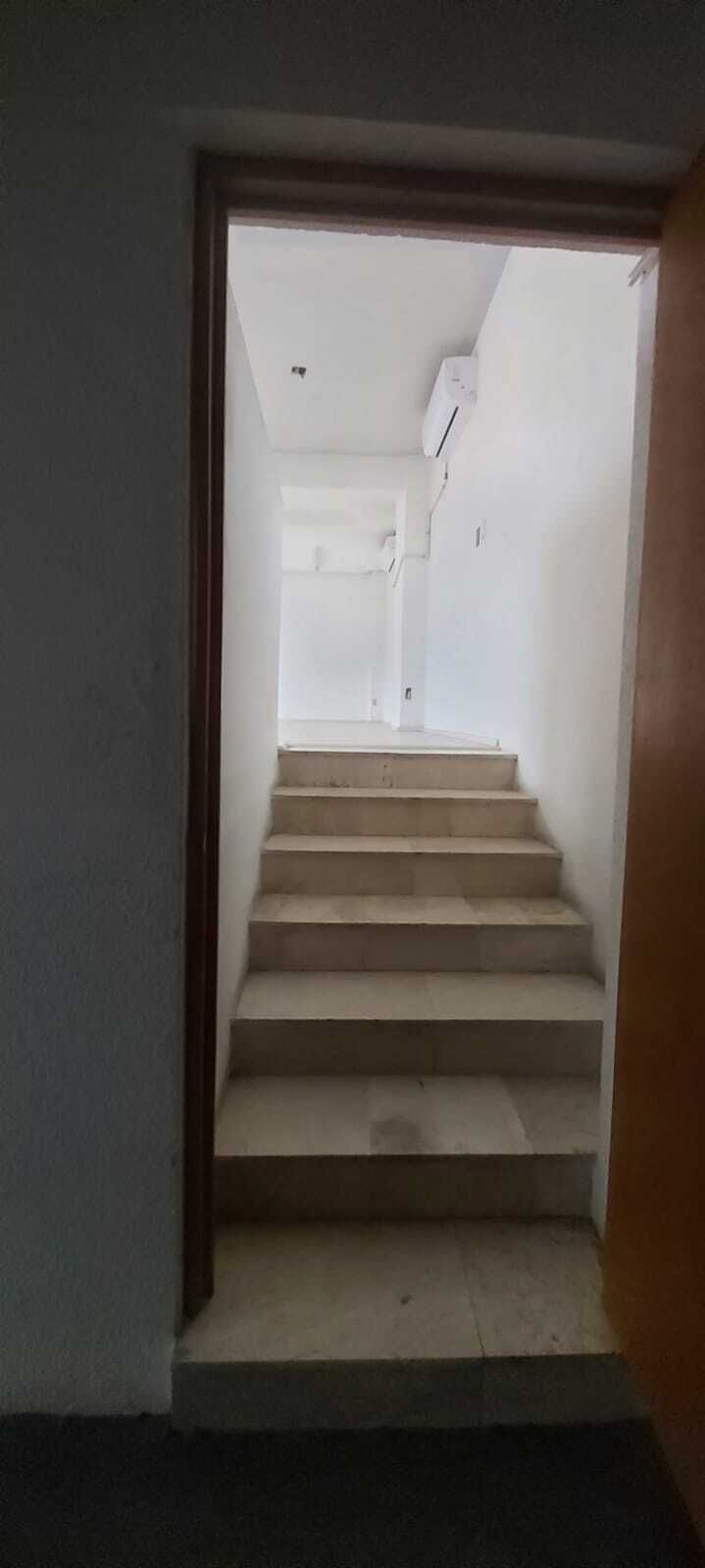4 de 14