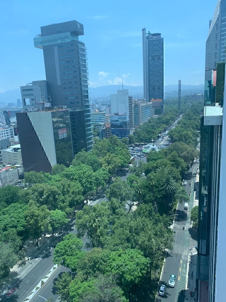 1 de 10