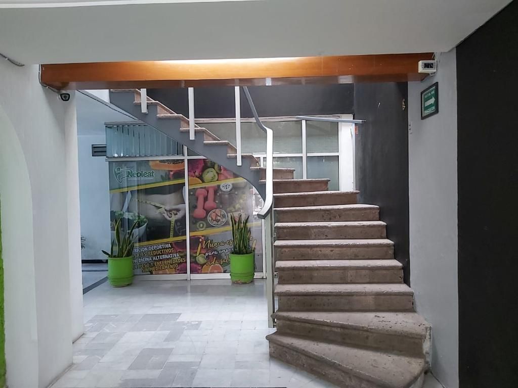 3 de 19