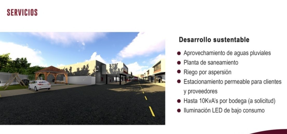 7 de 12