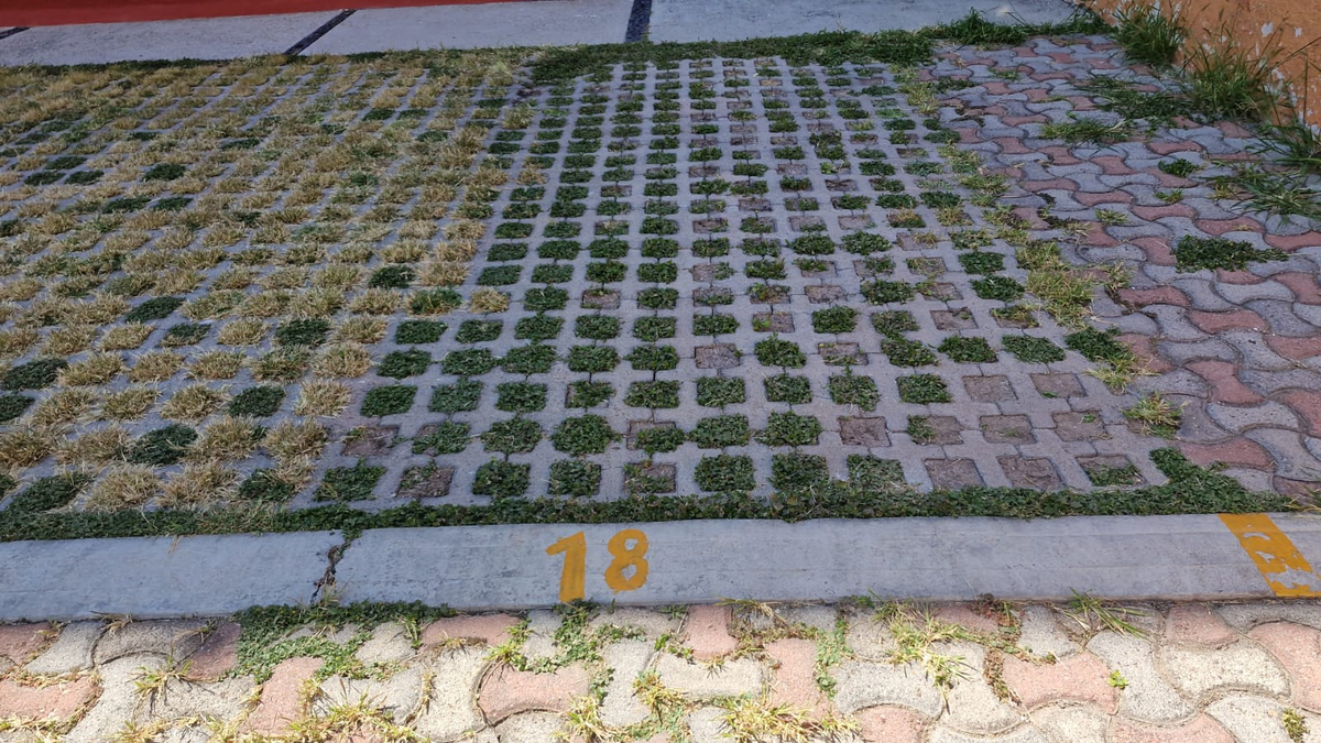 4 de 31