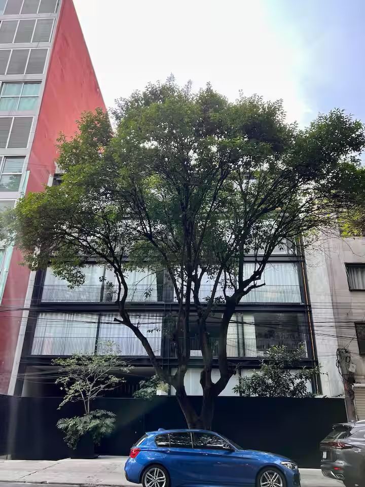 3 de 19