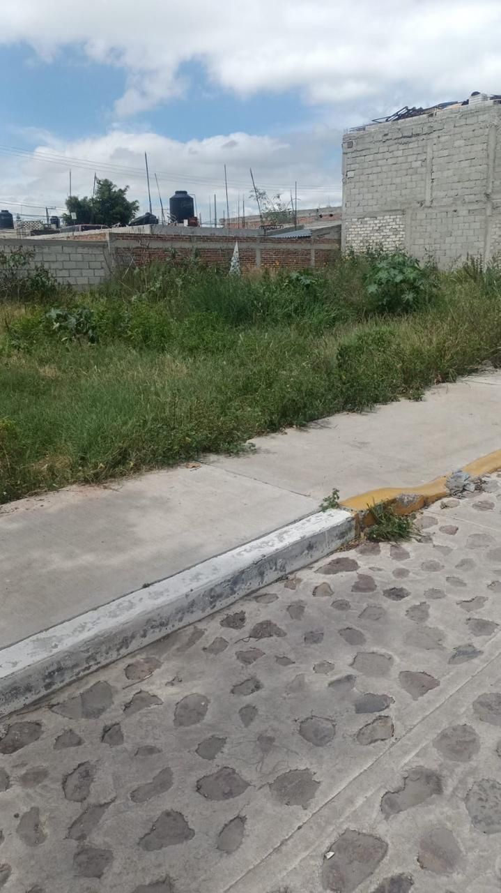 3 de 5