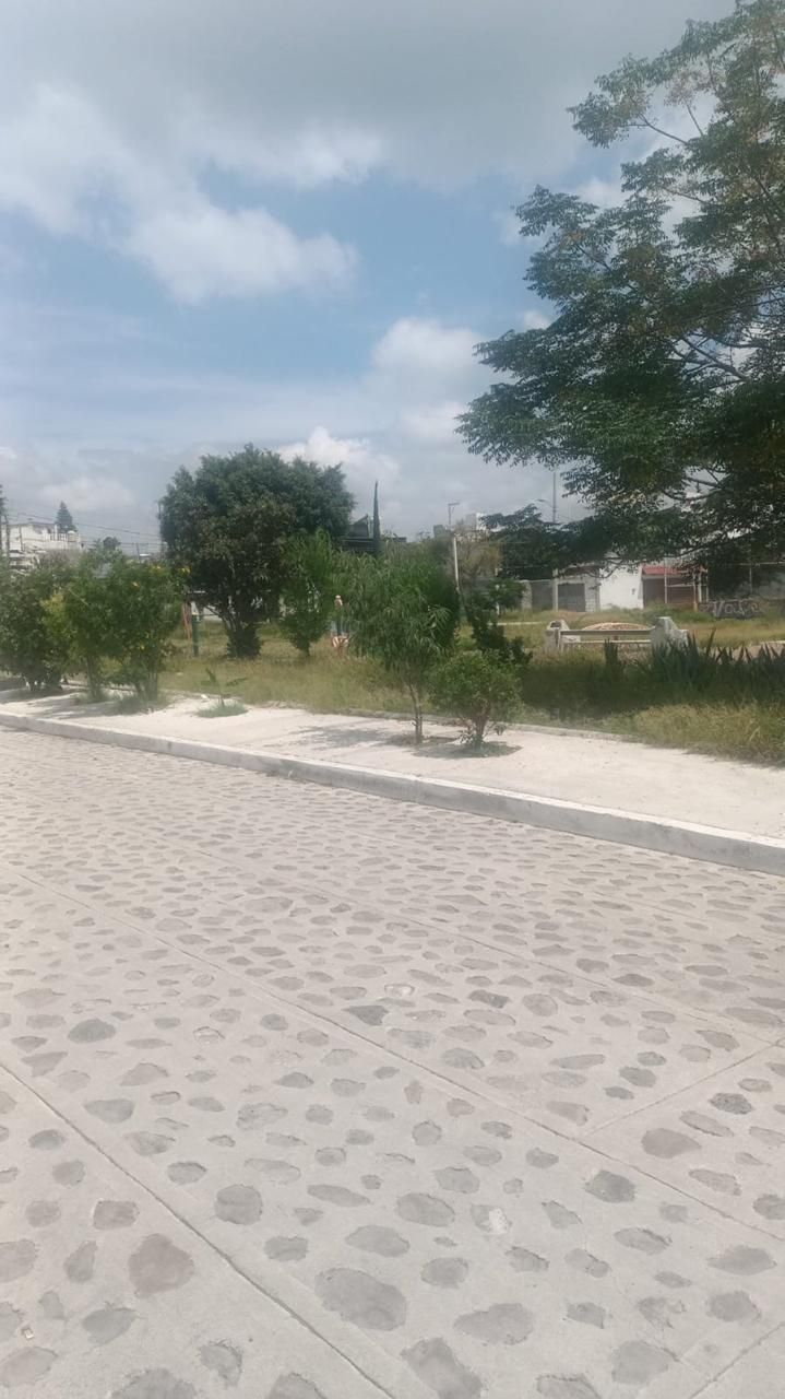4 de 5