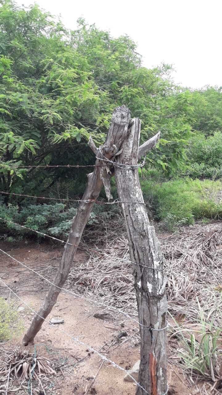 3 de 8