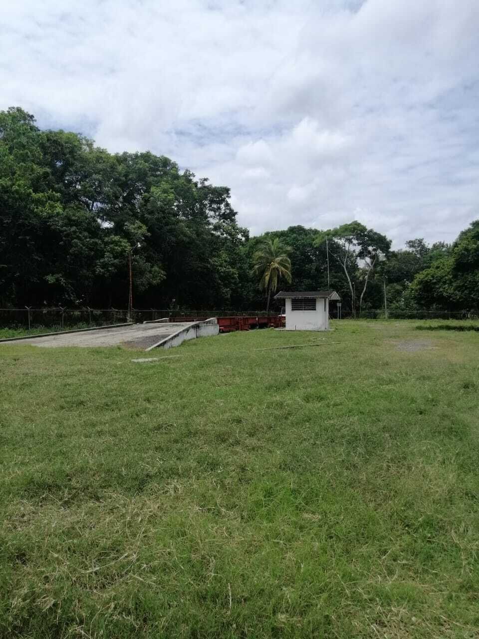 6 de 11