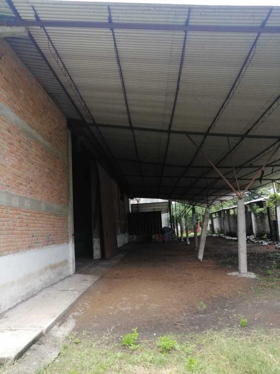 11 de 11