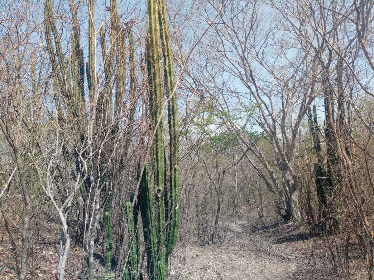 3 de 42