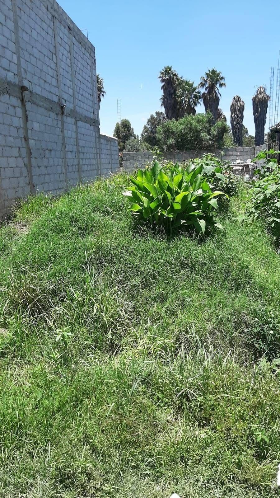 3 de 4