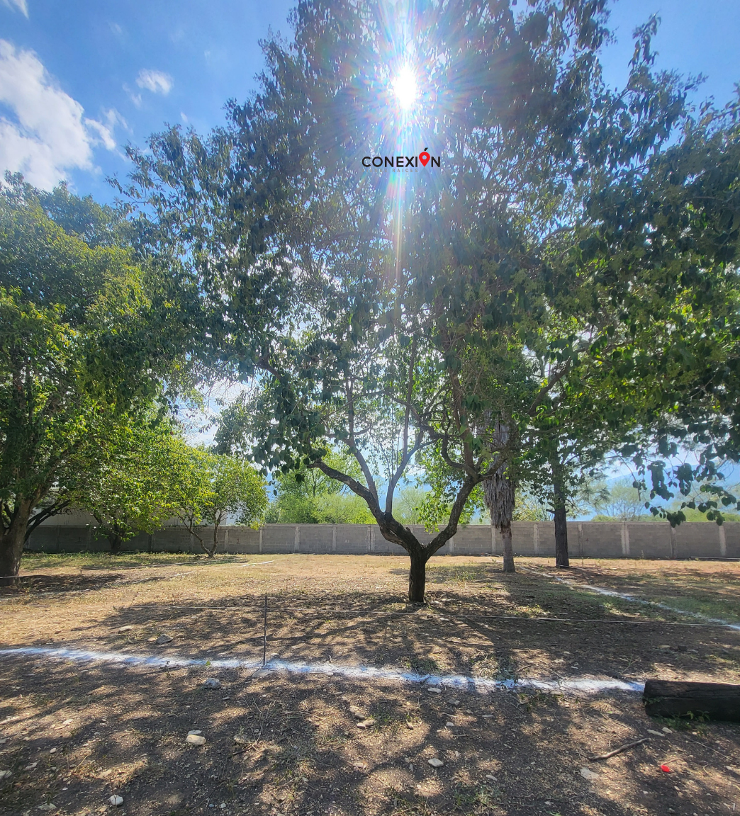 3 de 10