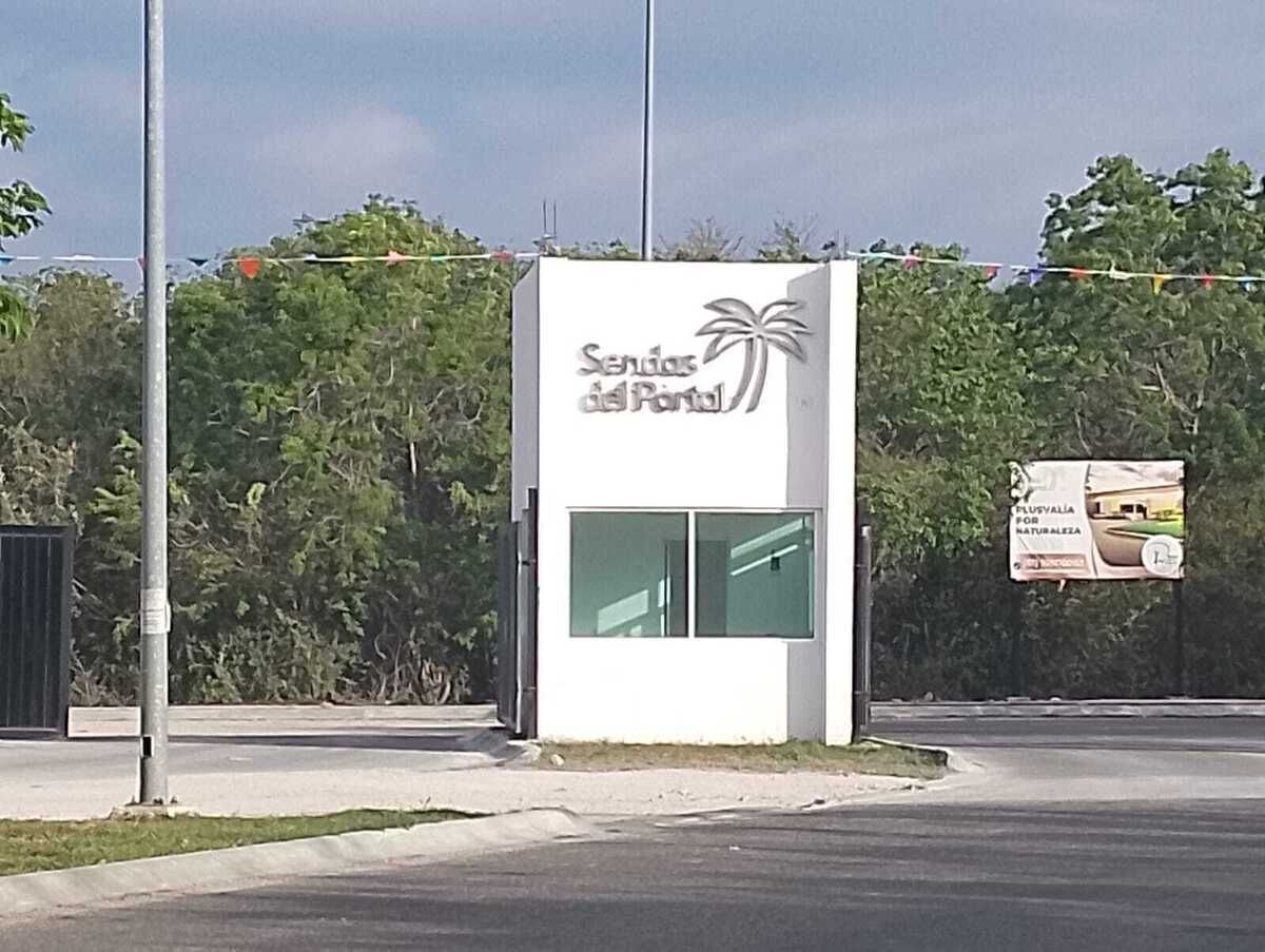 1 de 6
