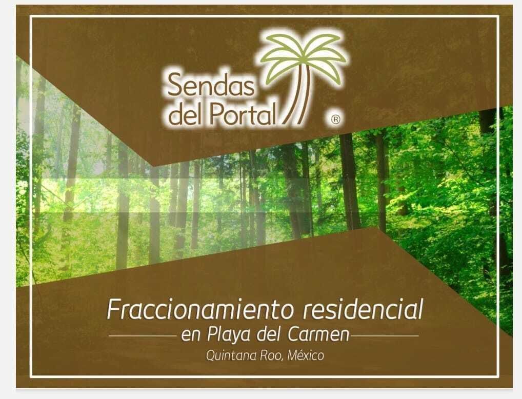 2 de 6