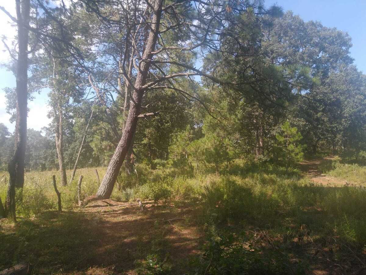 3 de 28
