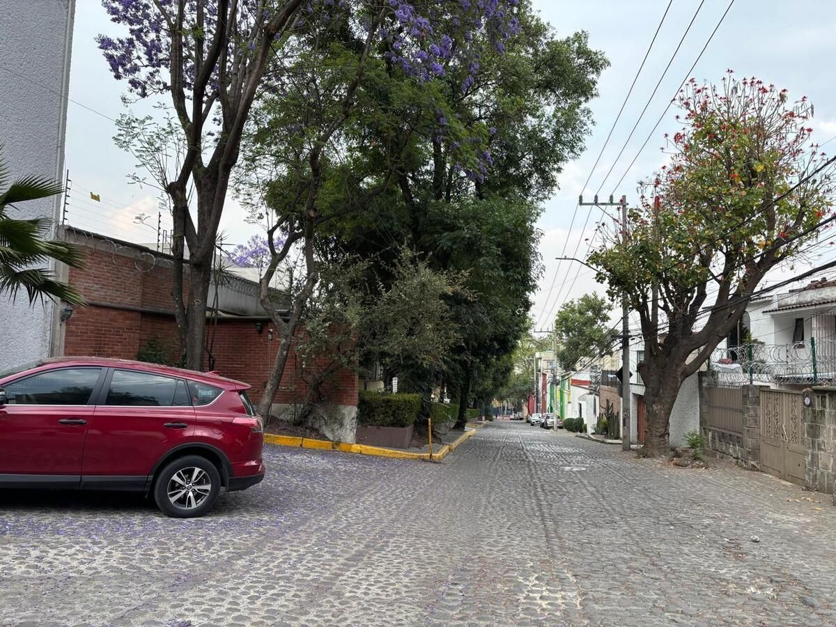 35 of 41: Calle principal