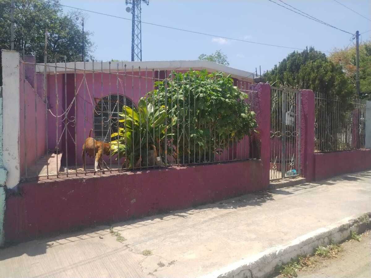 Imagen 1 de 10