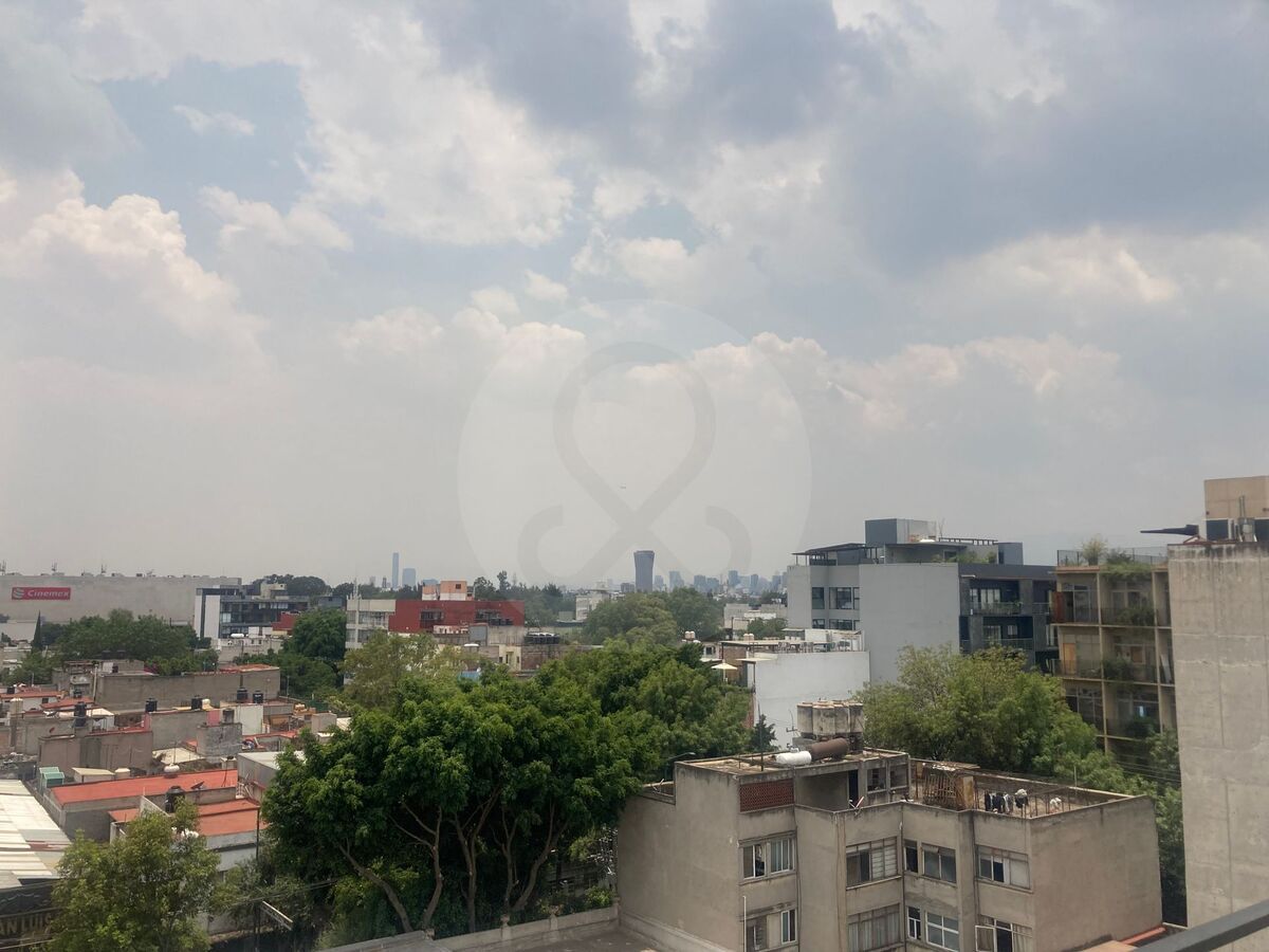 4 de 31