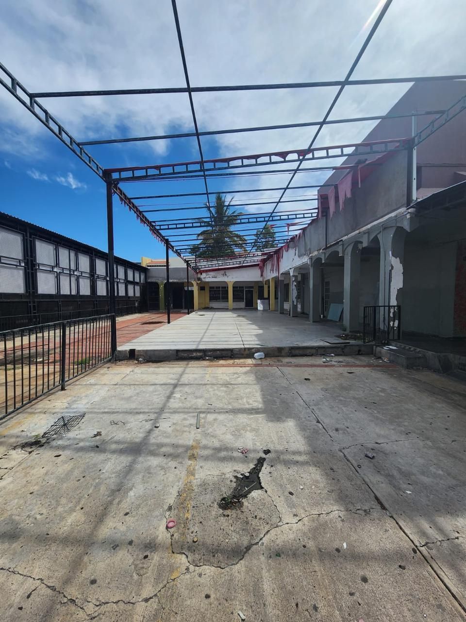 3 de 12
