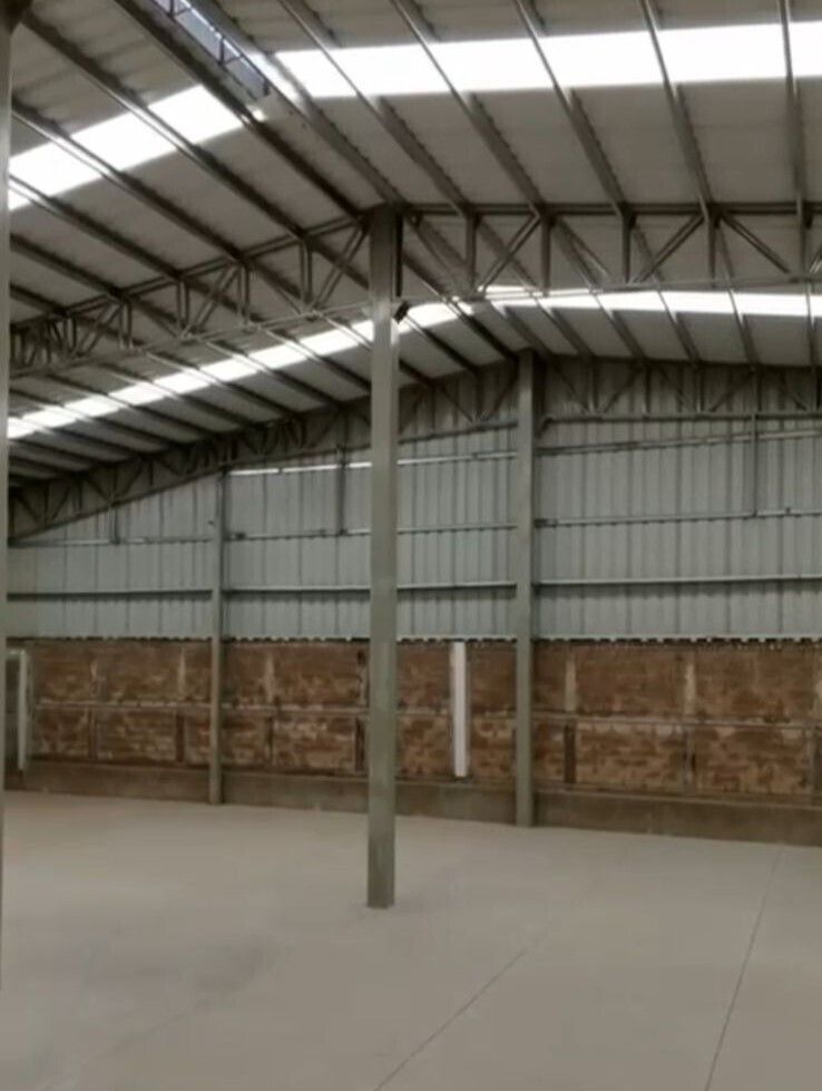 25 de 50