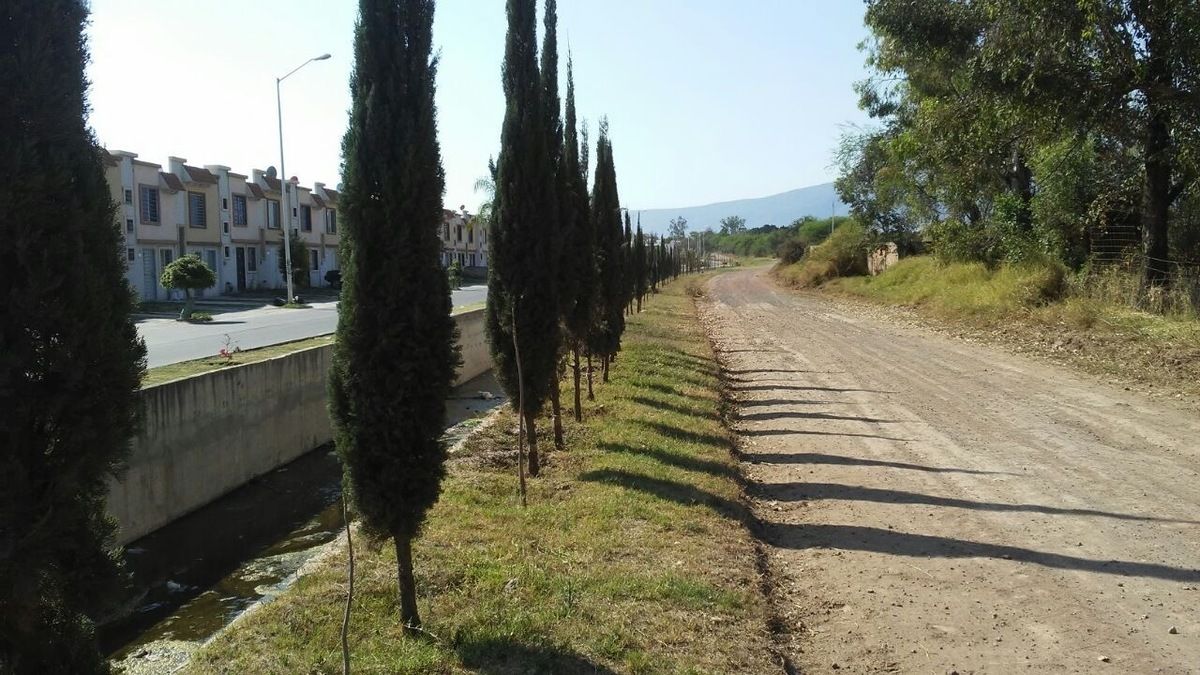 3 de 7