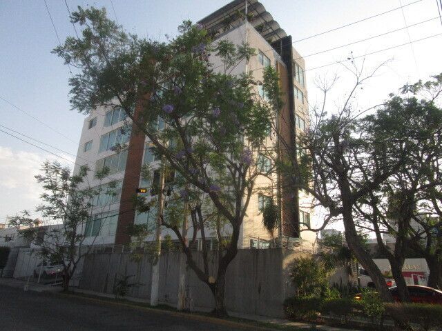 1 de 14