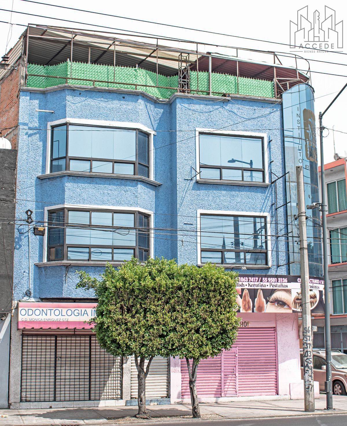 3 de 12