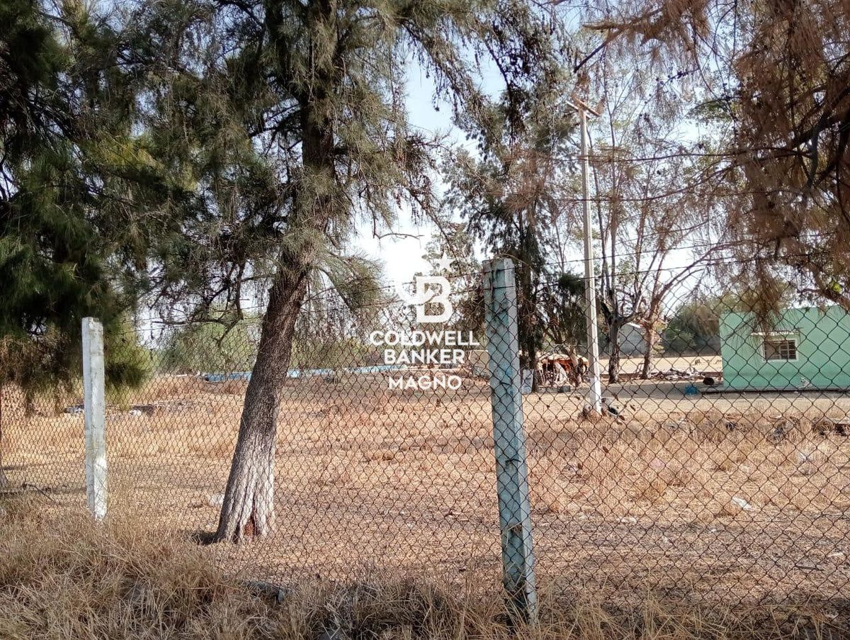 3 de 48