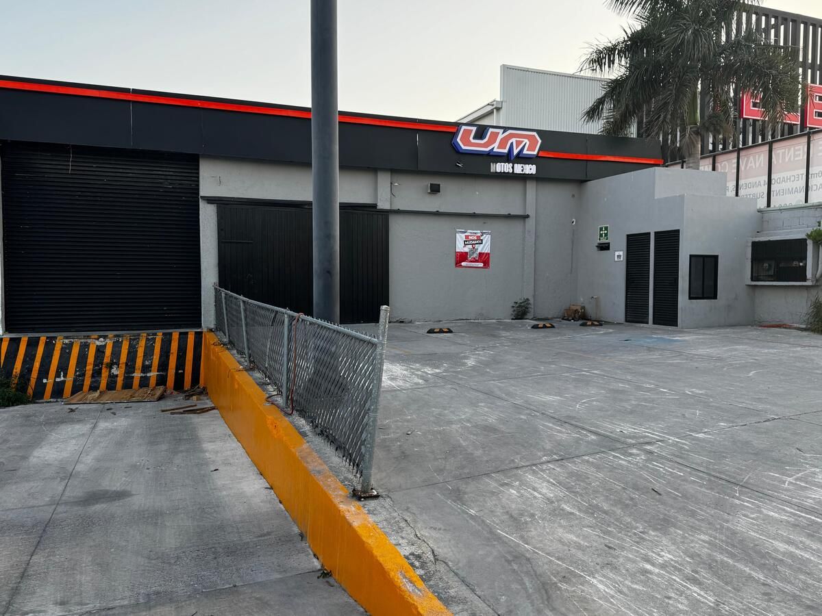5 de 17