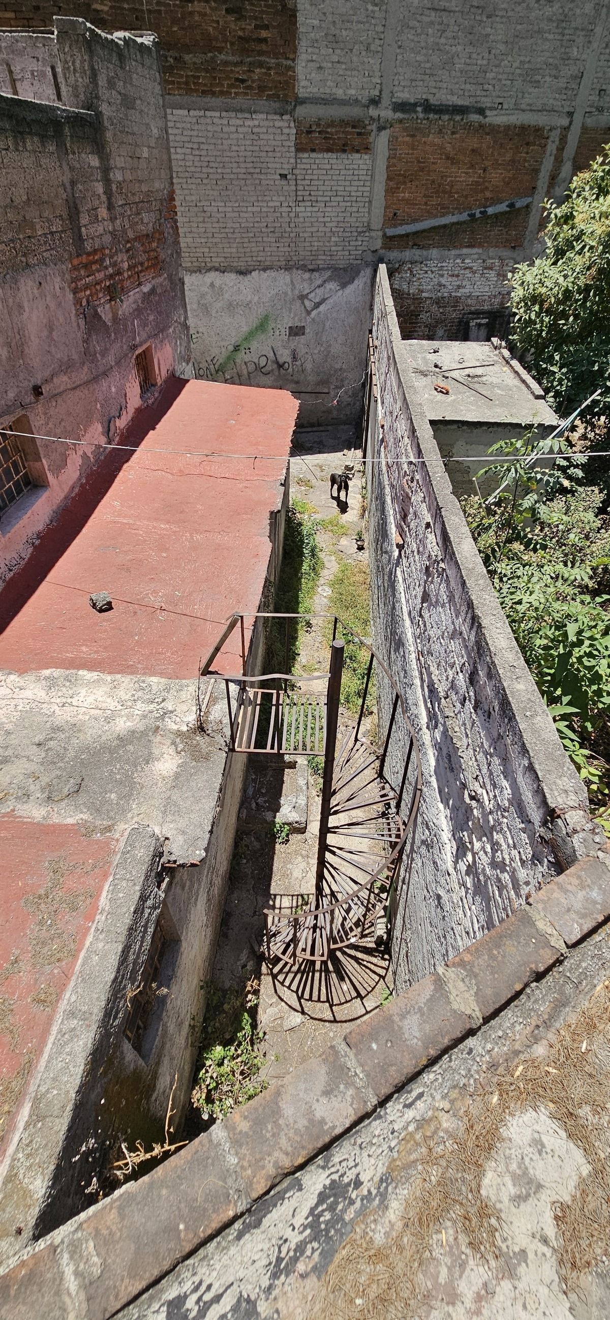 38 de 46
