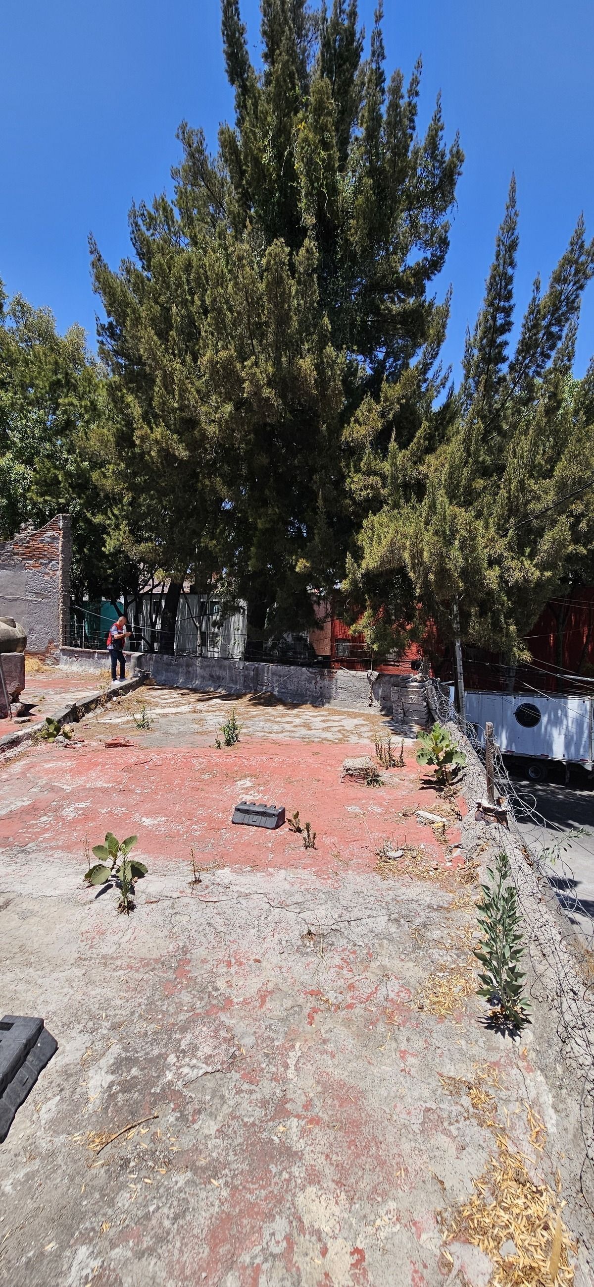 15 de 46