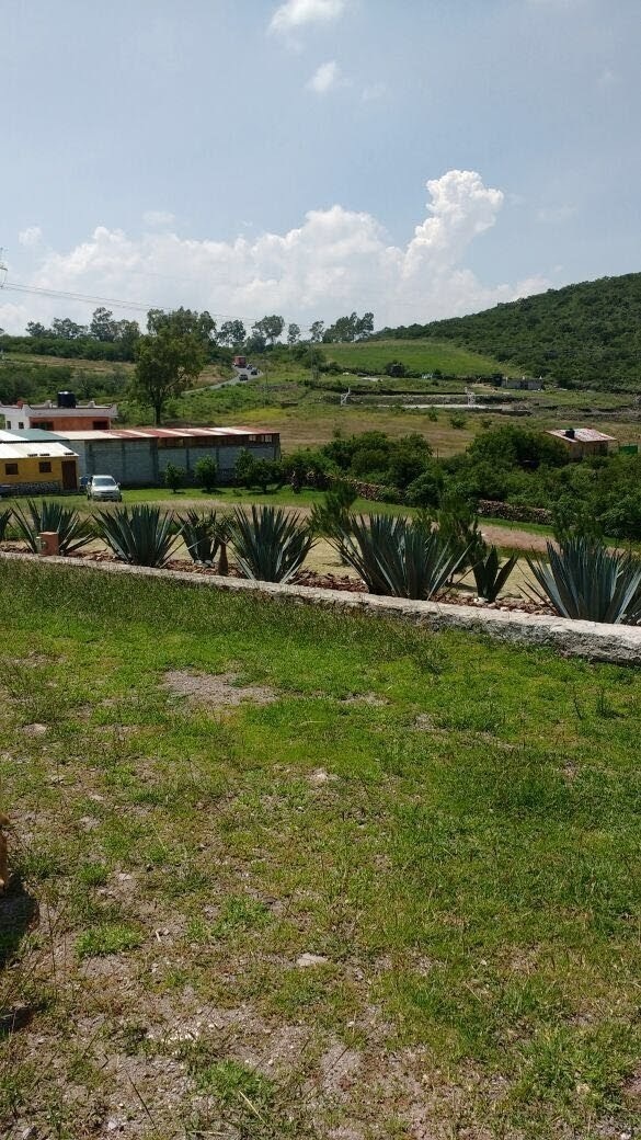 5 de 47