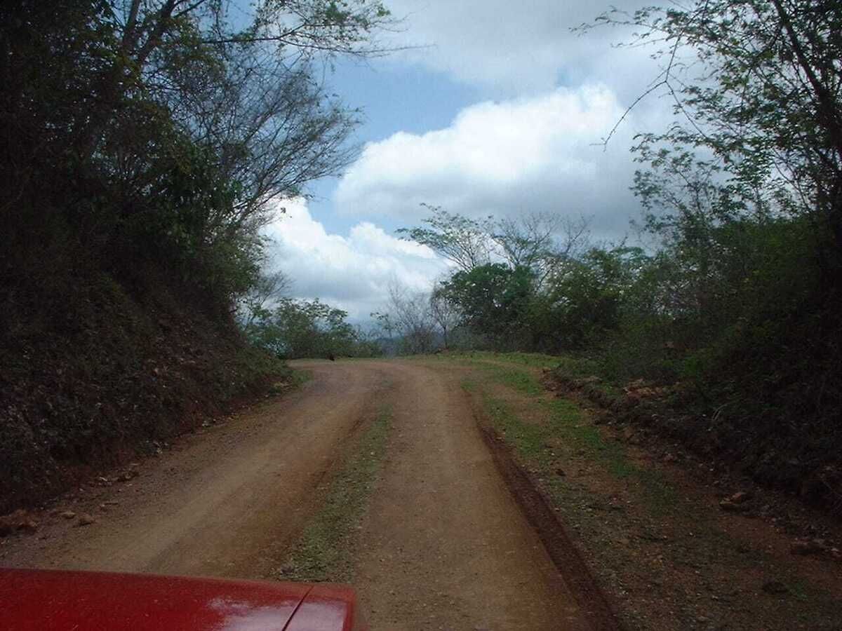 4 de 14
