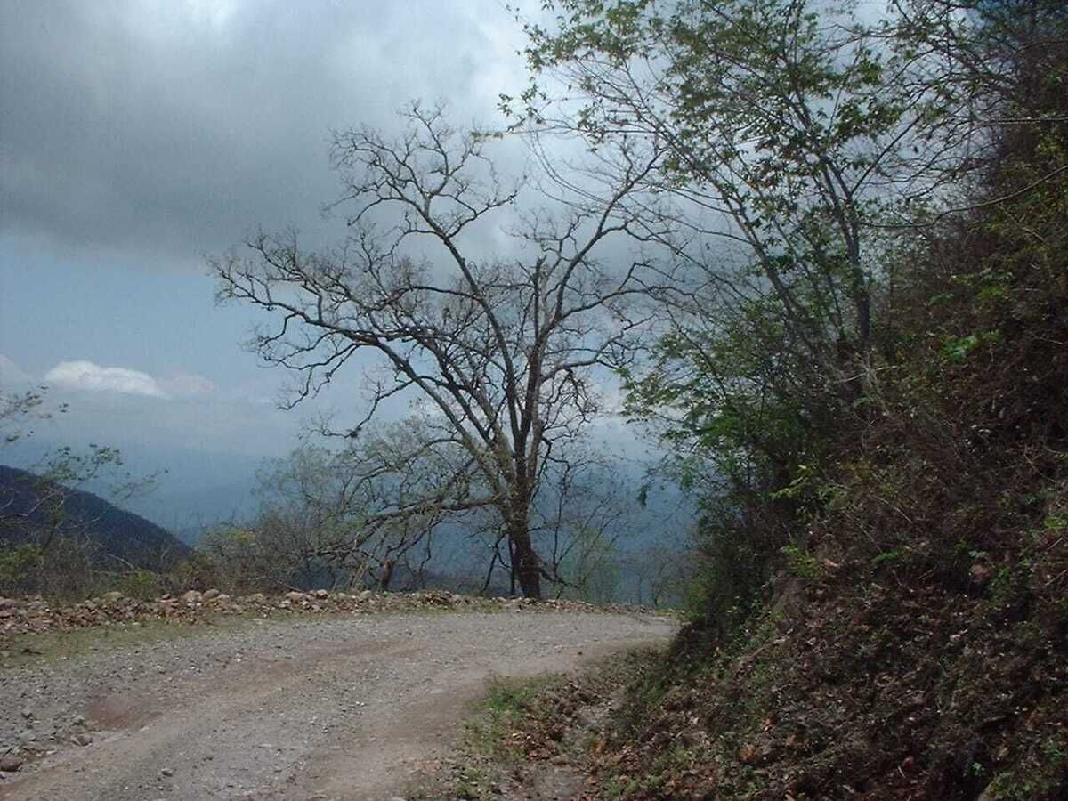 1 de 14