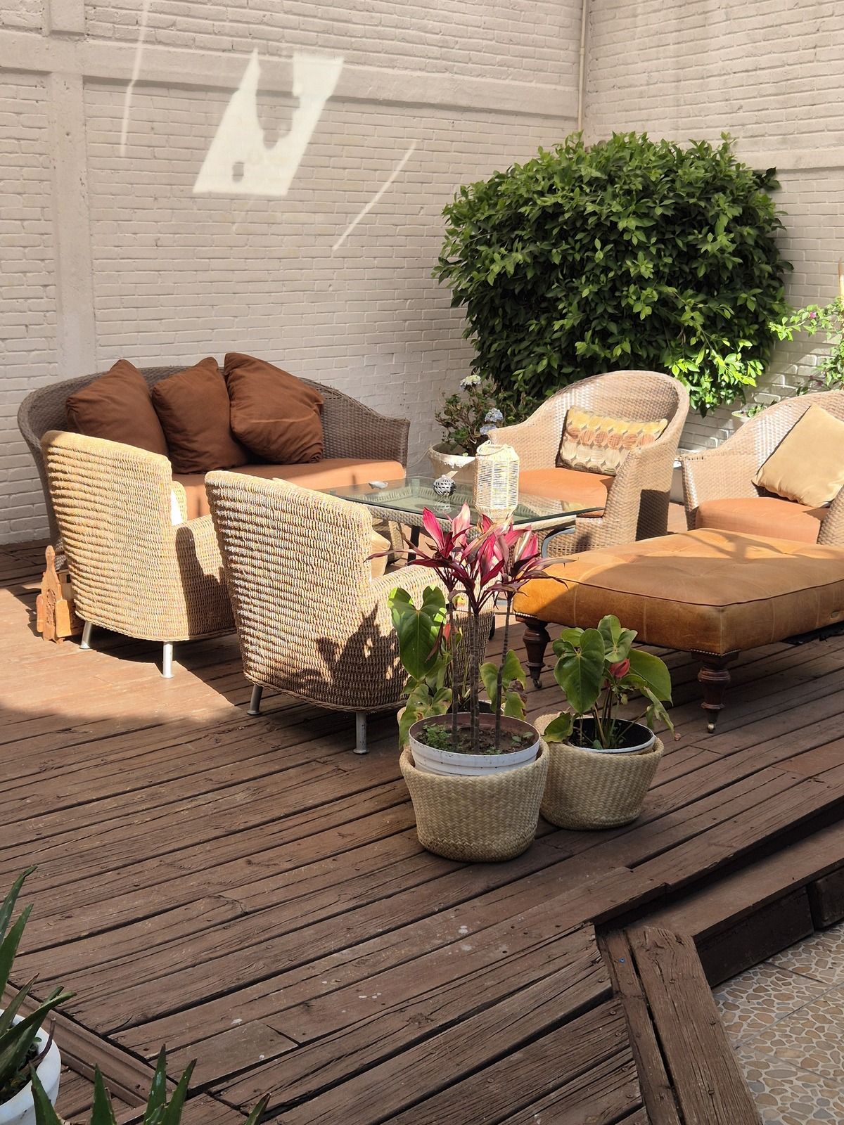 34 of 36: Terraza