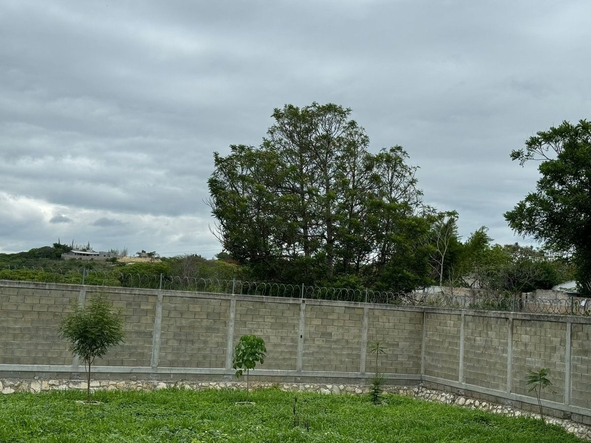 Imagen 2 de 5