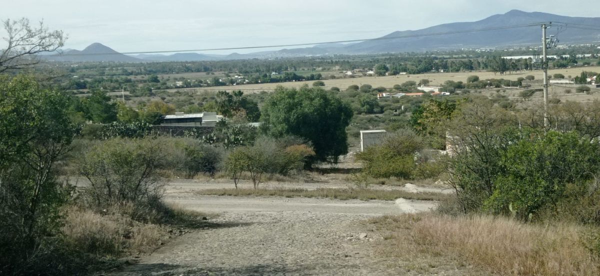 2 de 24