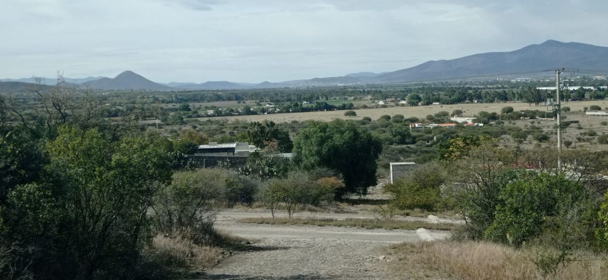 3 de 24