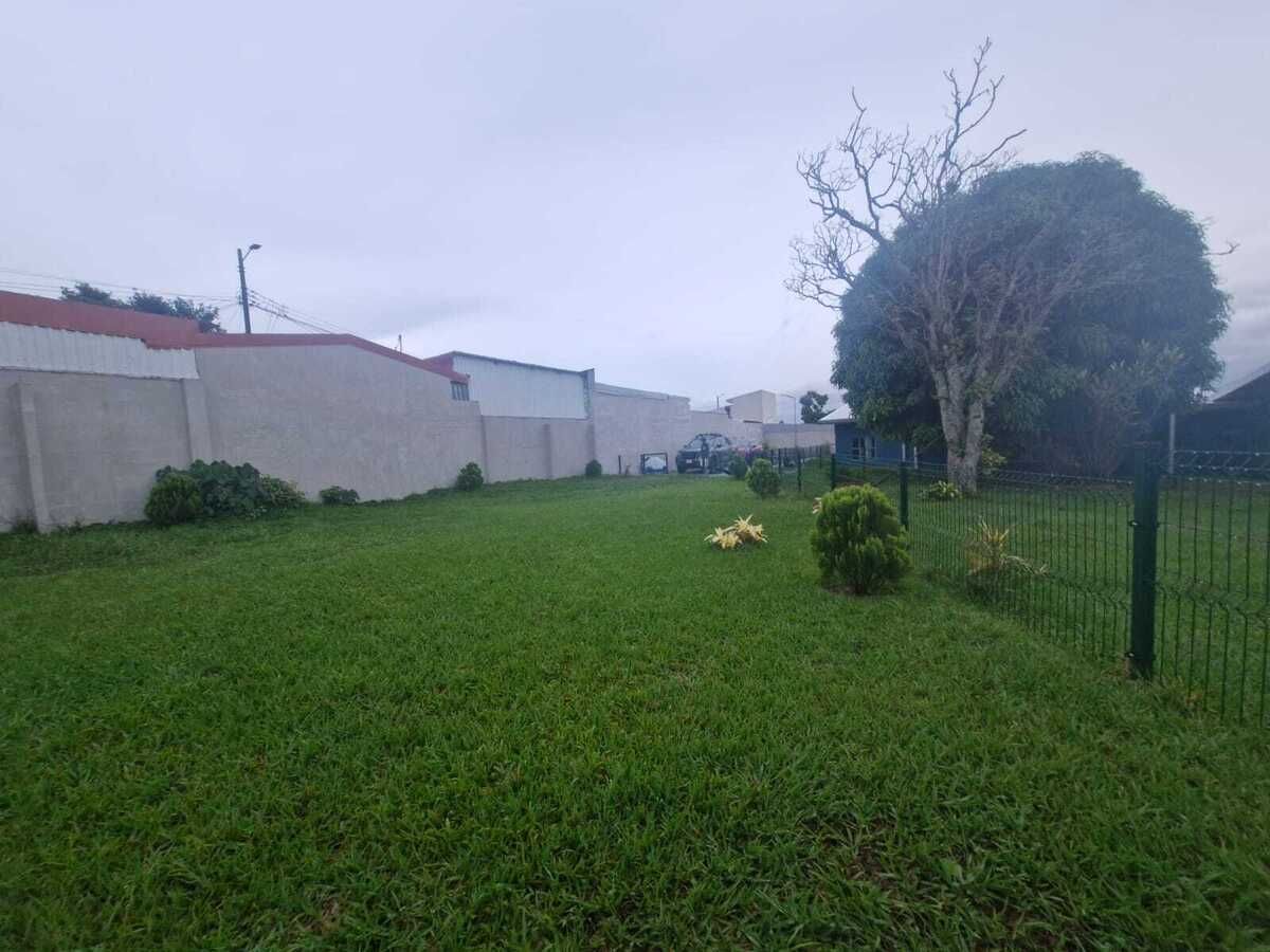 3 de 17