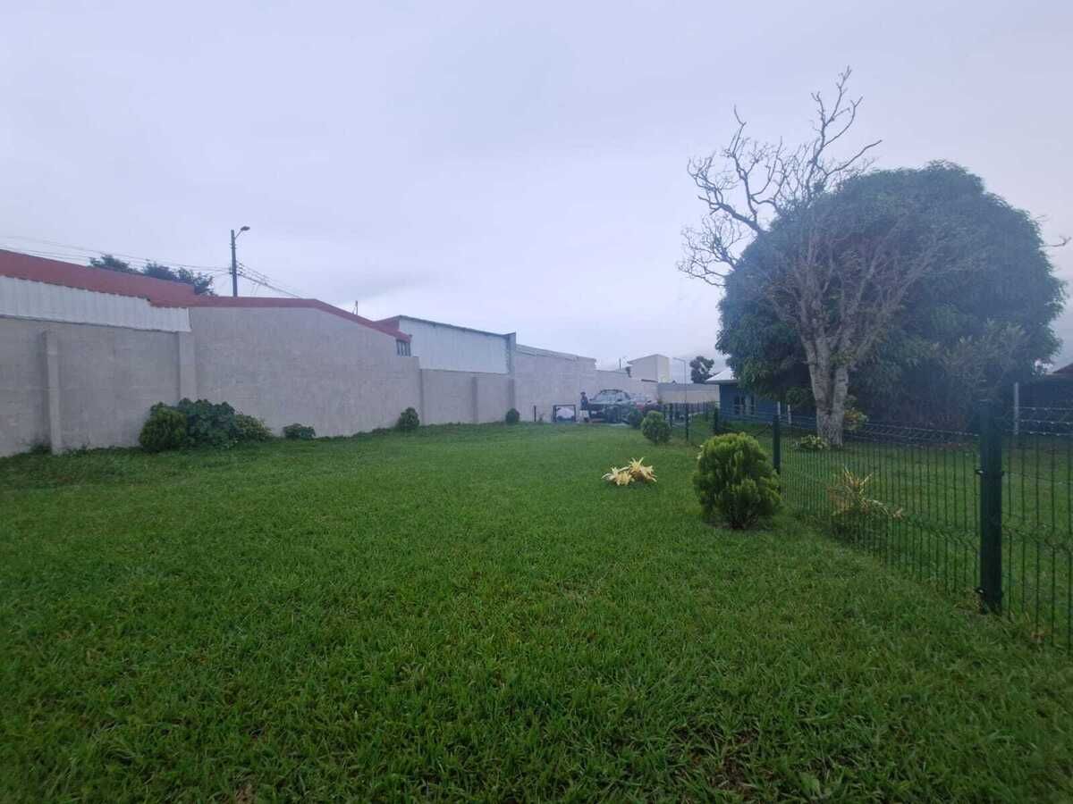 4 de 17
