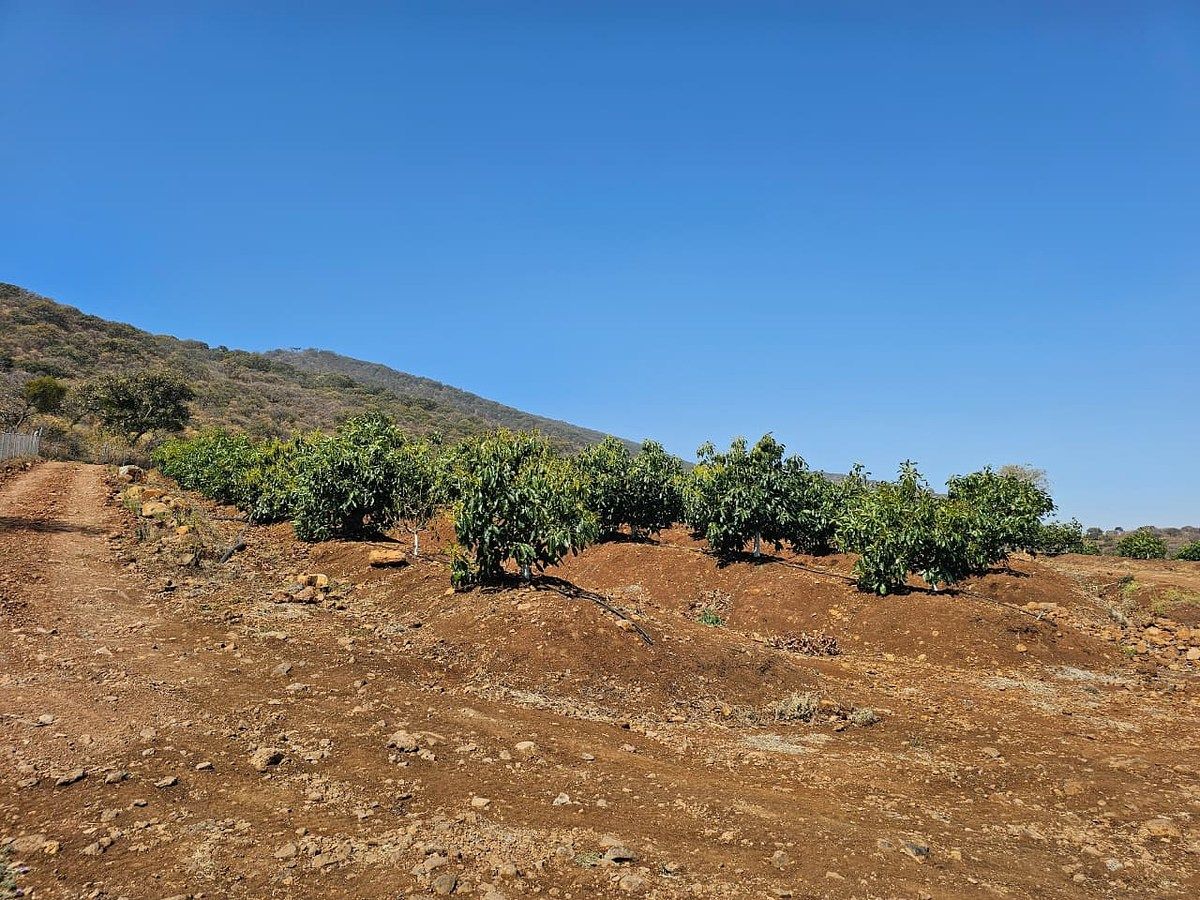 Terreno en Jocotepec Centro, Jocotepec, foto 14 de 15