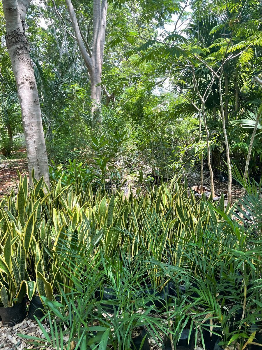 38 de 38