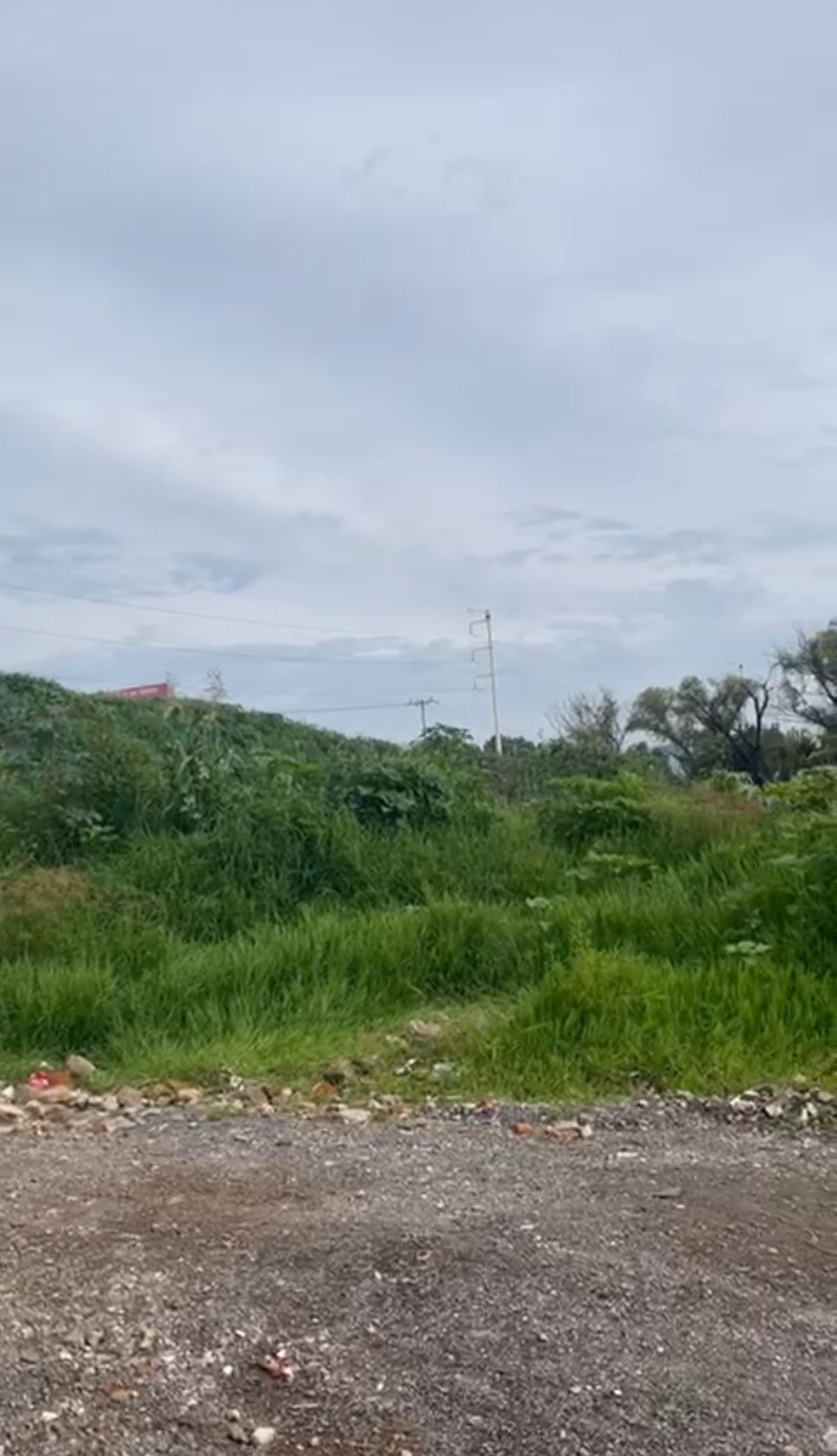 5 de 9